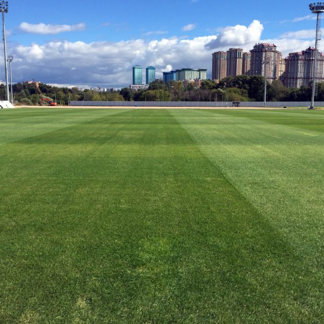 Spartak, Moscow, synthetic pitch, artificial turf, natural turf pitch