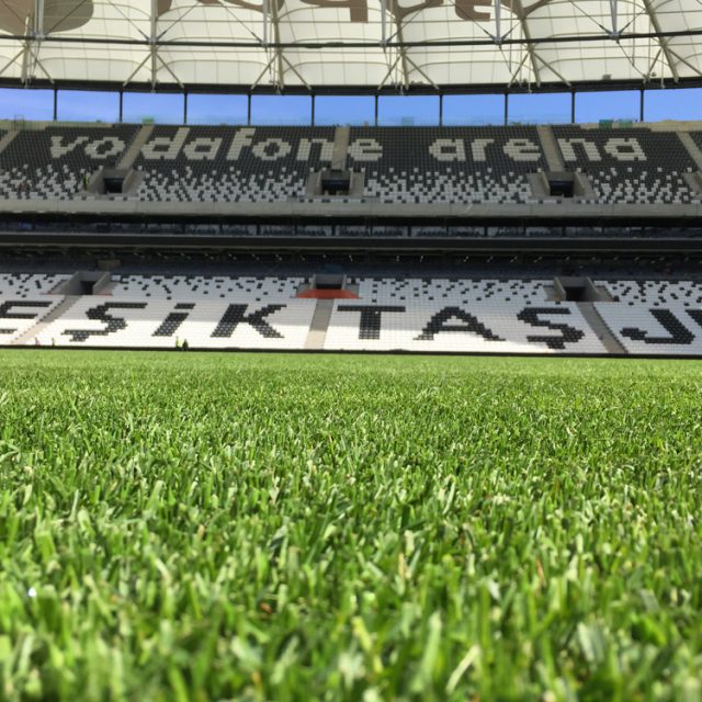 SISGrass pitch, reinforced natural turf, BESIKTAS VODAFONE ARENA IN ISTANBUL, bonar yarns