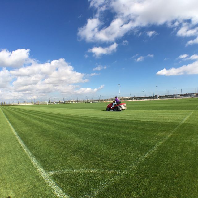 BAKU OLYMPIC STADIUM COMPLEX, SISTurf, Artificial turf, Synthetic pitch