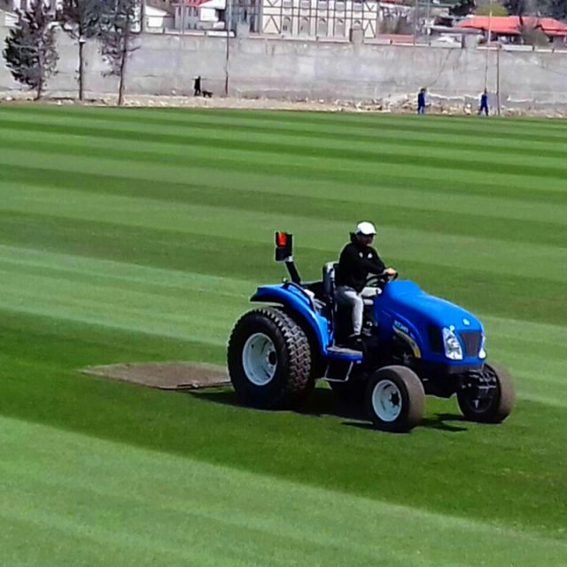 Neftchi Training Center, Ismat Gayibov Stadium, SIS Pitches, Natural turf, football pitch