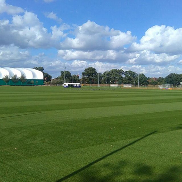 SISGrass, Hybrid pitch, grass, reinforced grass, hybrid technology, Fulham FC Training Ground