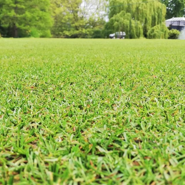 SISGrass tennis court, Hyrbid tennis court