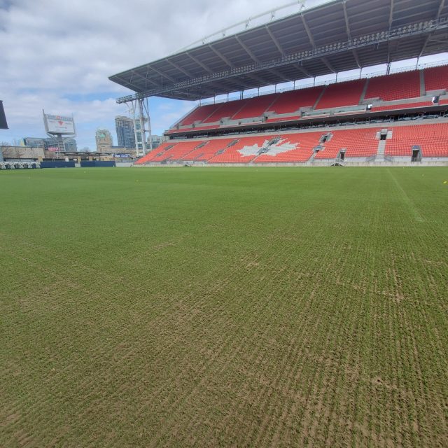 SIS Pitches, BMO field SISGrass hybrid grass renovation