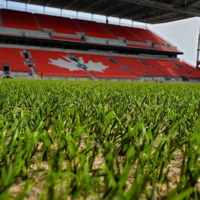 SIS Pitches, BMO field SISGrass hybrid grass renovation